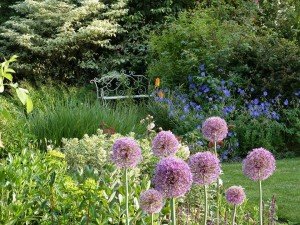 Jardin Clare Oberon " la Maison"