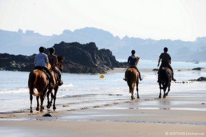 cheval plage Côtes d'Armor