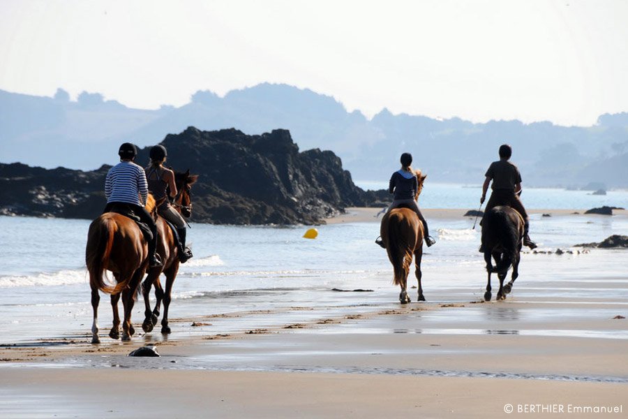 horse beach Côtes d'Armor