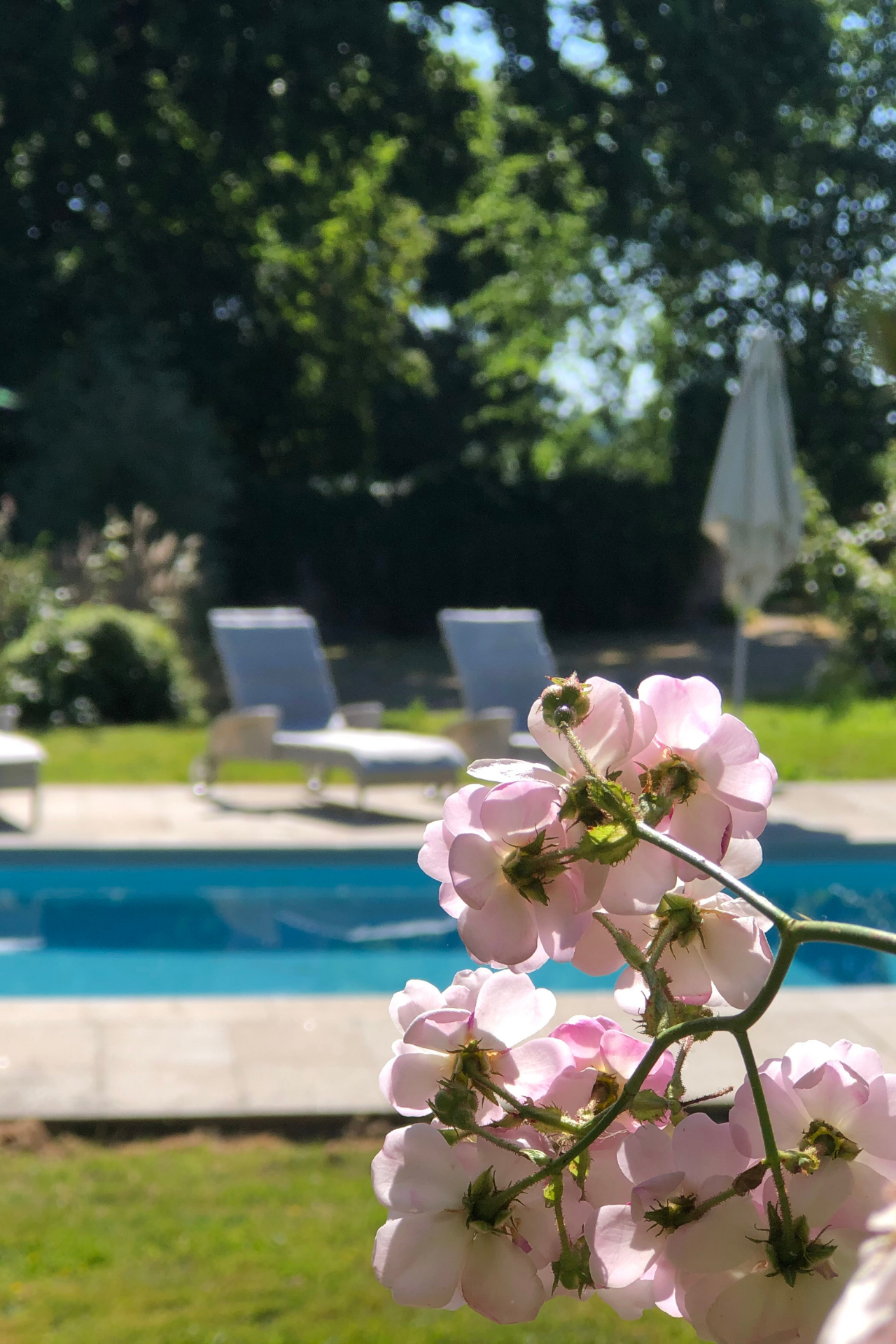 Manor swimming pool open in summer